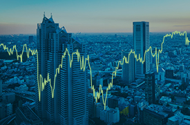 Disciplined Investing Brochure